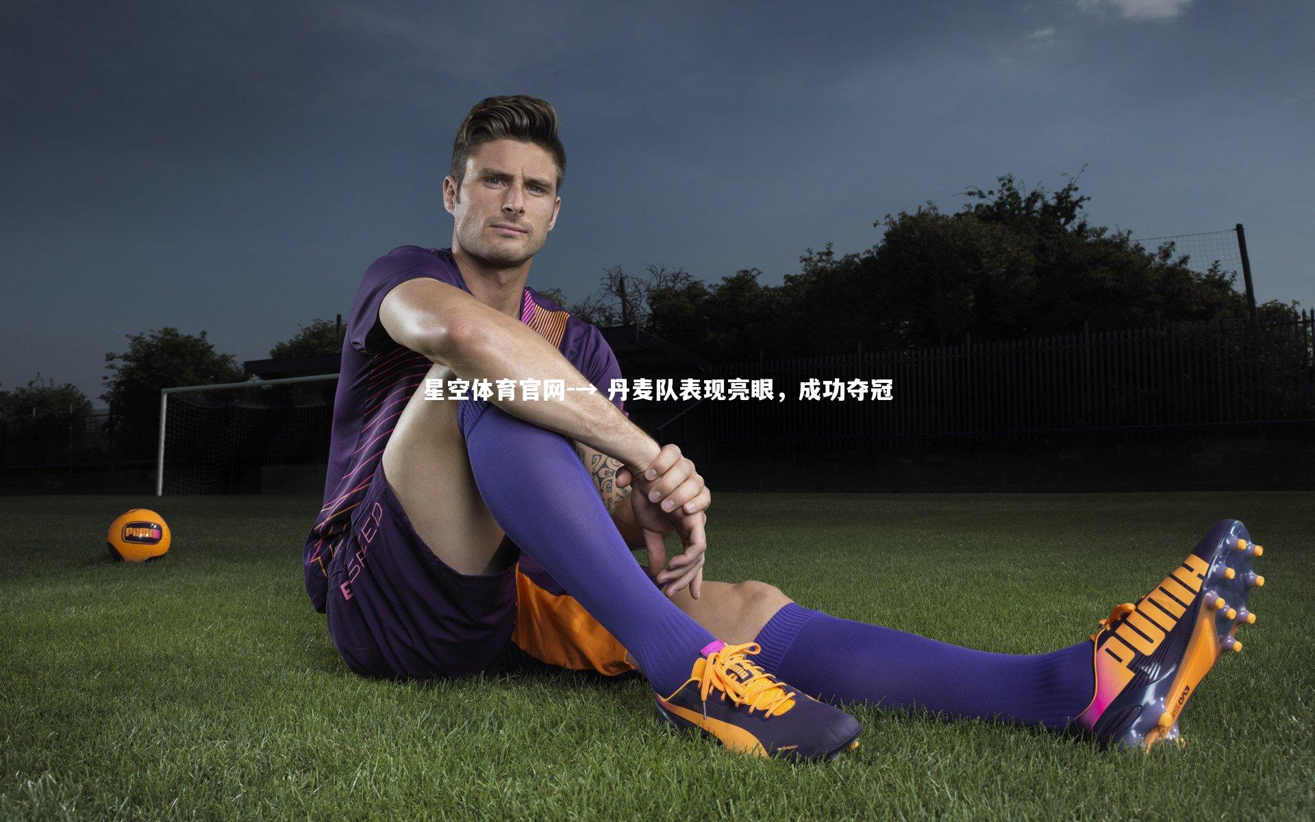 → 丹麦队表现亮眼，成功夺冠