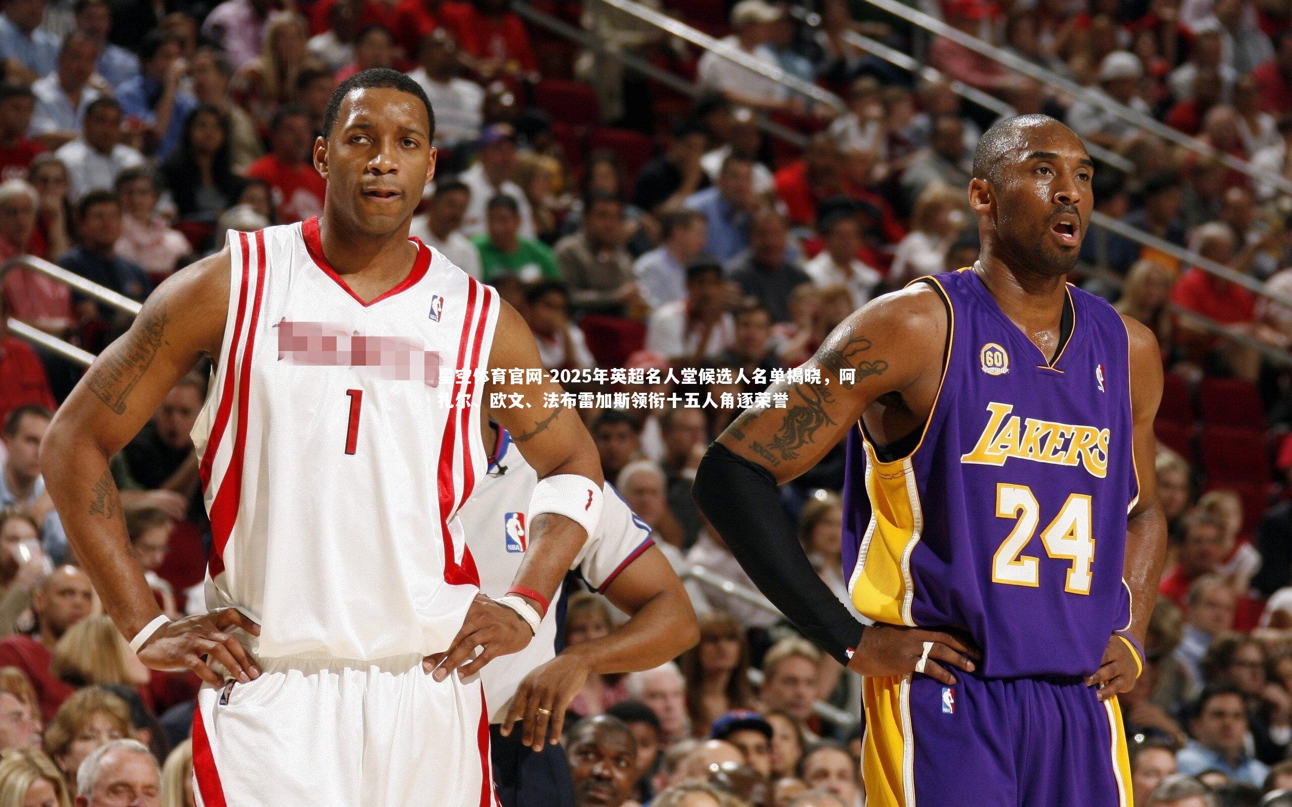 星空体育官网-2025年英超名人堂候选人名单揭晓，阿扎尔、欧文、法布雷加斯领衔十五人角逐荣誉